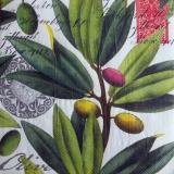 Ubrousek OLIVY