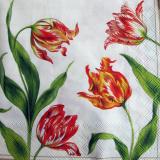 Ubrousek TULIPÁNY II.