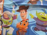 Ubrousek TOY STORY