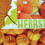 Ubrousek HERBST